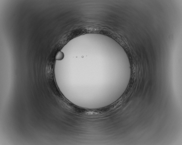 X0000116580614200912101311