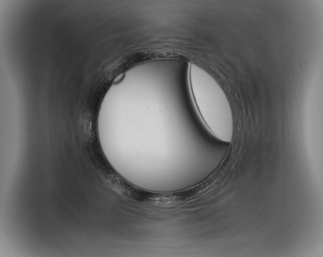 X0000116580615200912101311