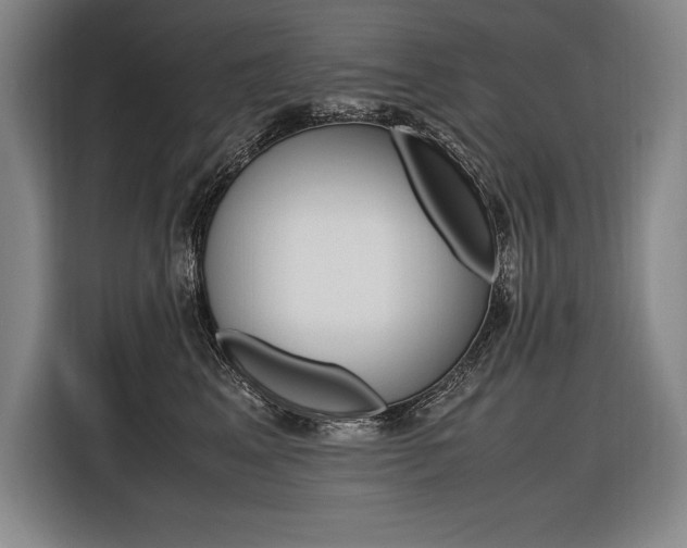 X0000116580617200912101311