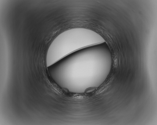 X0000116580620200912101311