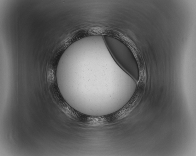 X0000116580621200912101311