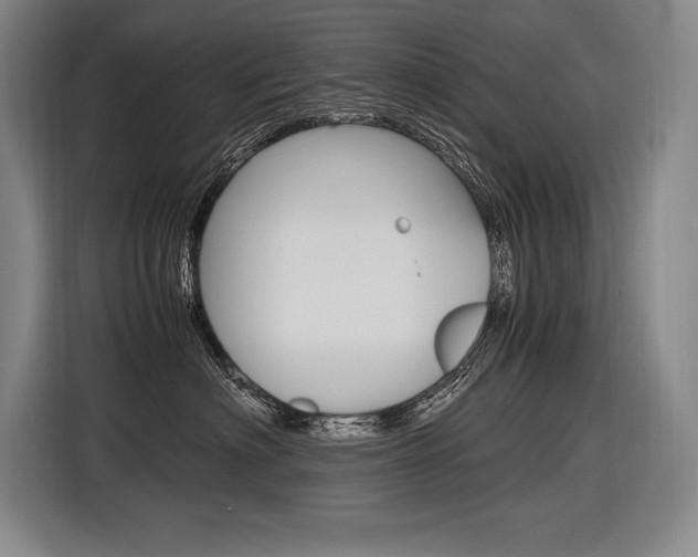 X0000116580622200912101311
