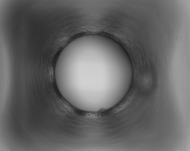 X0000116580624200912101311