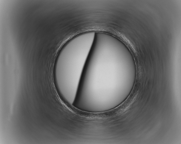 X0000116580625200912101310