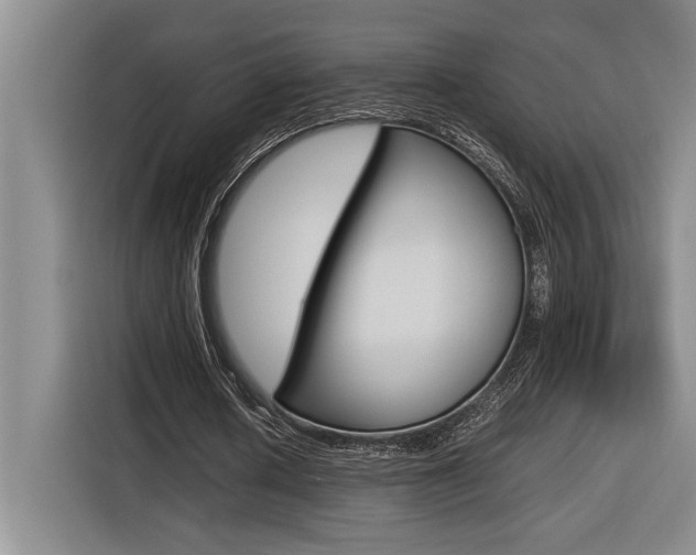 X0000116580626200912101310