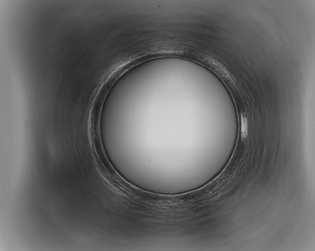X0000116580627200912101310