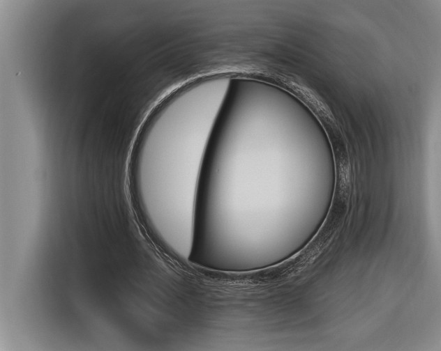 X0000116580628200912101310