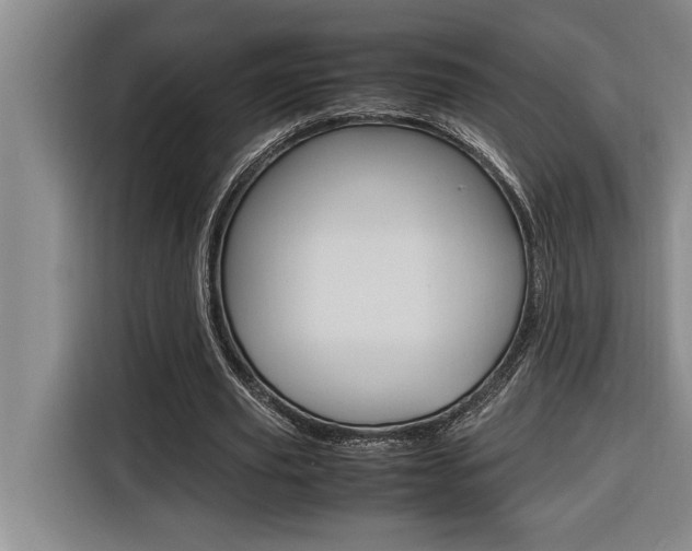 X0000116580629200912101310
