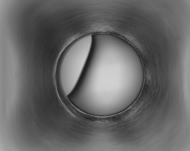 X0000116580630200912101310