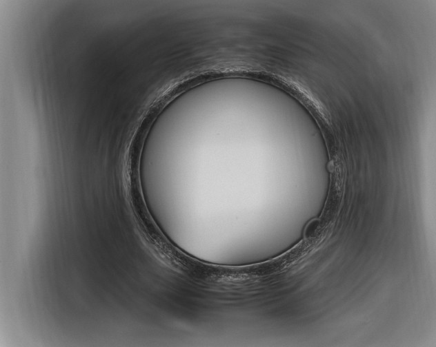 X0000116580631200912101310