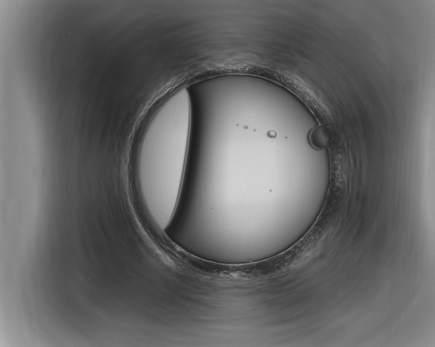 X0000116580634200912101310