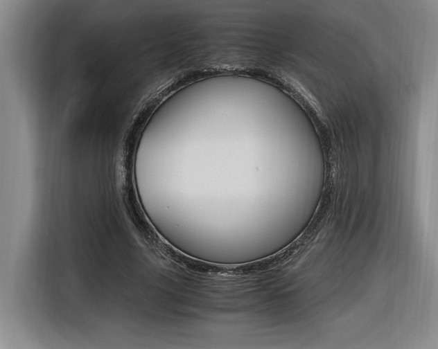X0000116580635200912101310