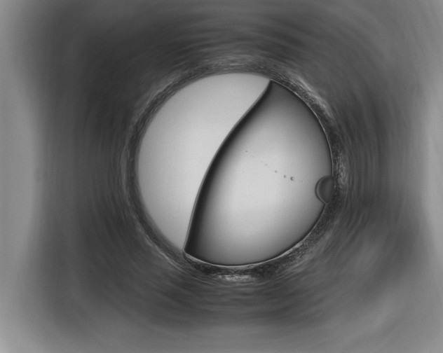 X0000116580637200912101310