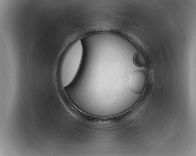 X0000116580638200912101310
