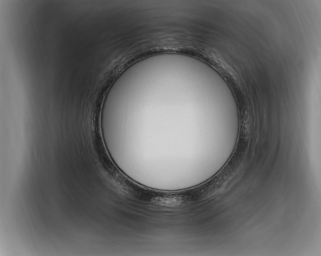 X0000116580639200912101310