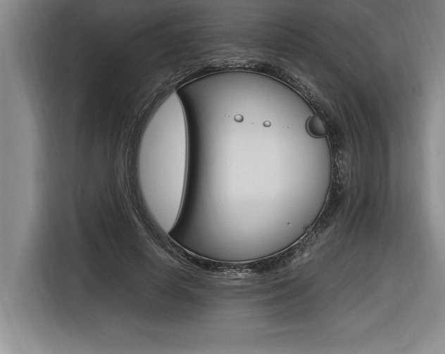 X0000116580642200912101310