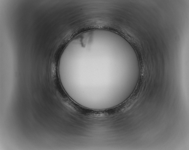 X0000116580646200912101310