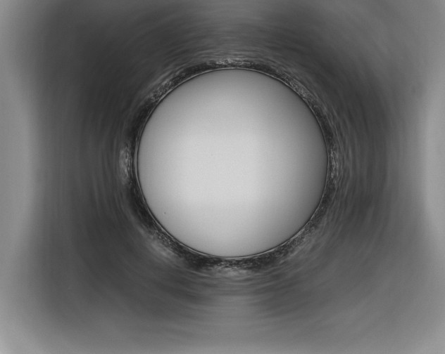 X0000116580648200912101310
