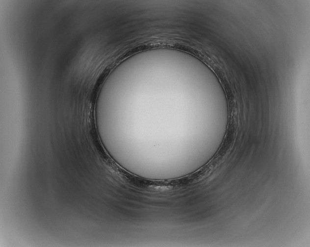 X0000116580649200912101310