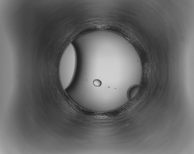 X0000116580650200912101310