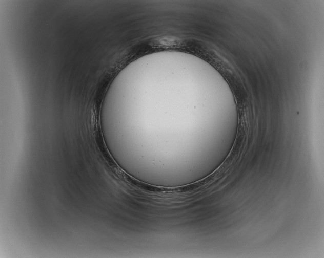 X0000116580651200912101310