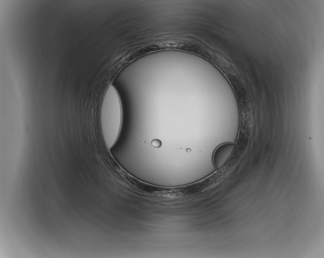 X0000116580652200912101310