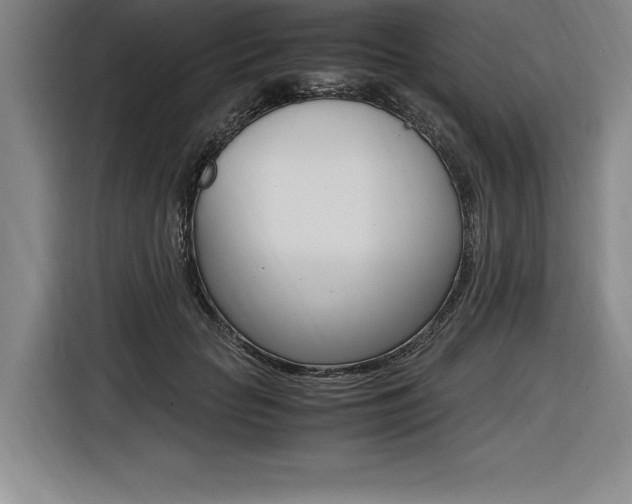 X0000116580653200912101310