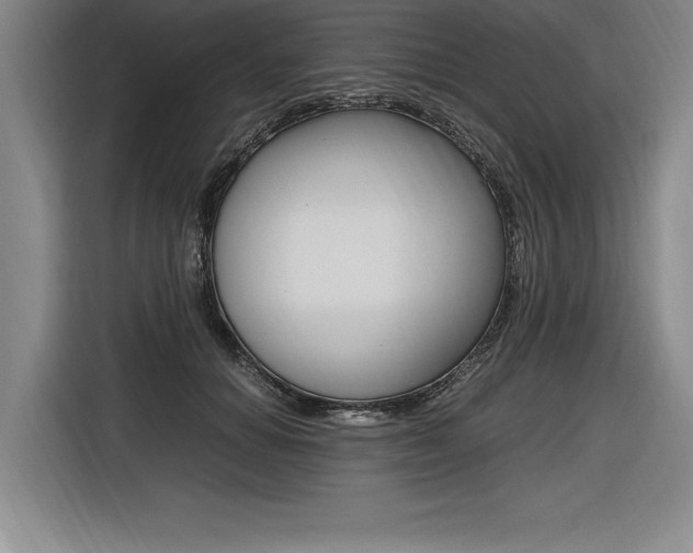 X0000116580654200912101310