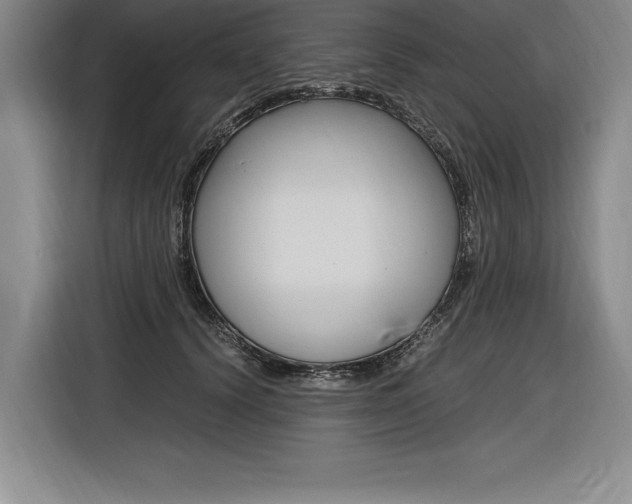 X0000116580656200912101310