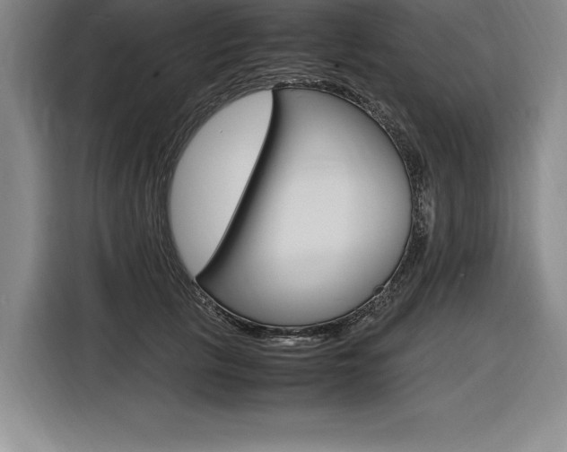 X0000116580657200912101310