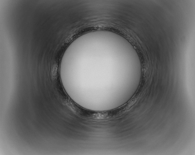 X0000116580660200912101310