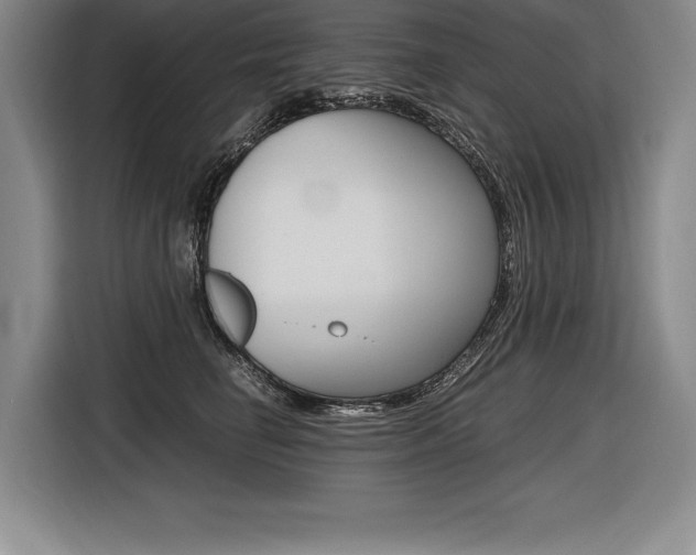 X0000116580662200912101310