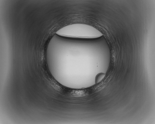 X0000116580665200912101311