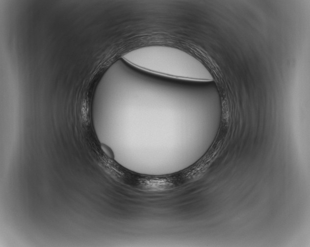 X0000116580669200912101311