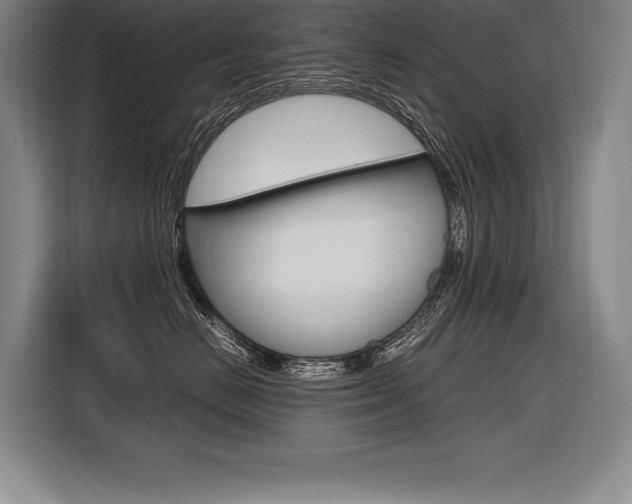 X0000116580670200912101311