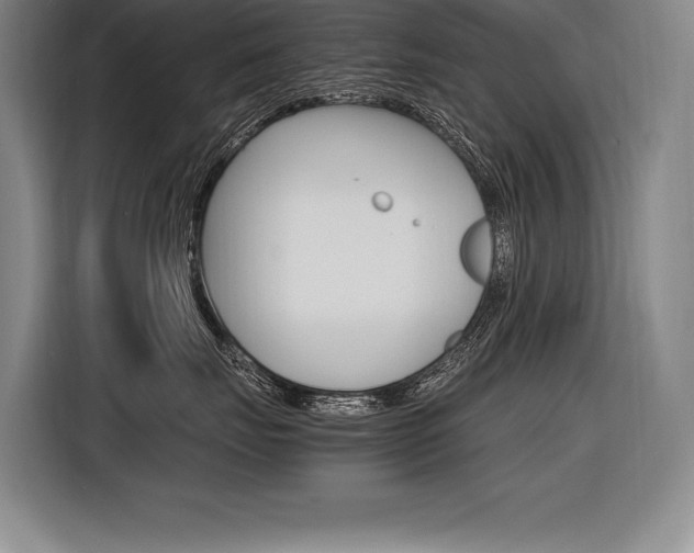 X0000116580671200912101311
