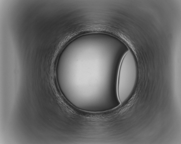 X0000116580673200912101310