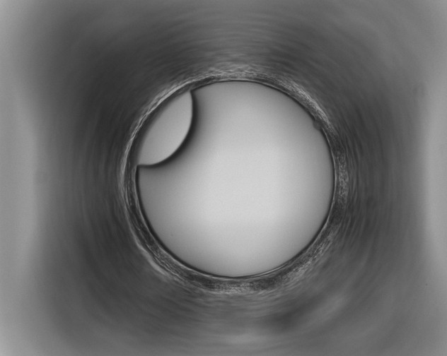 X0000116580674200912101310