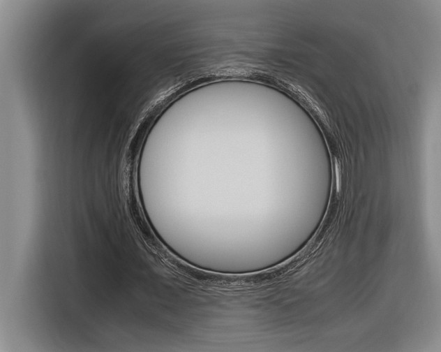 X0000116580675200912101310