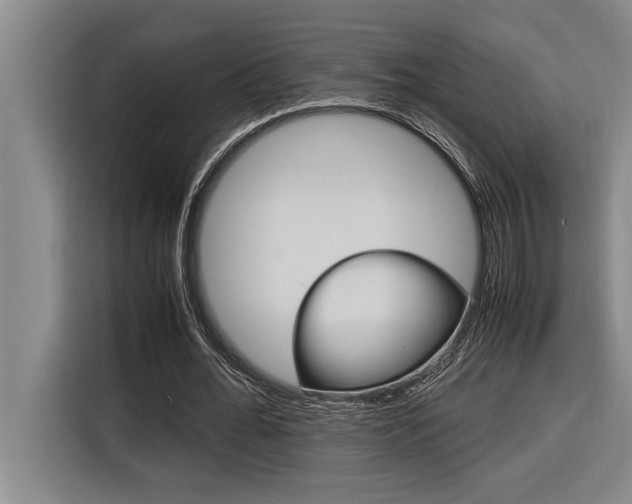 X0000116580676200912101310