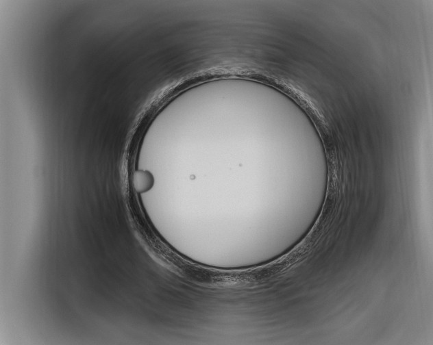 X0000116580678200912101310