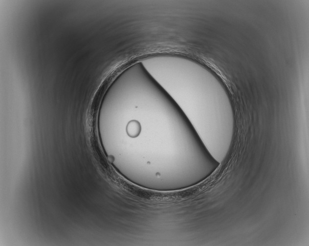 X0000116580679200912101310