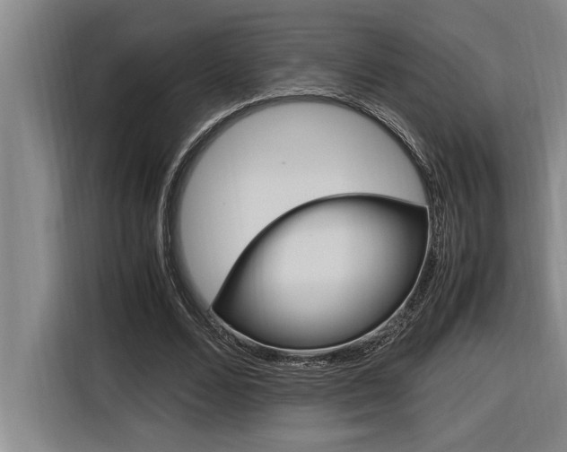 X0000116580680200912101310