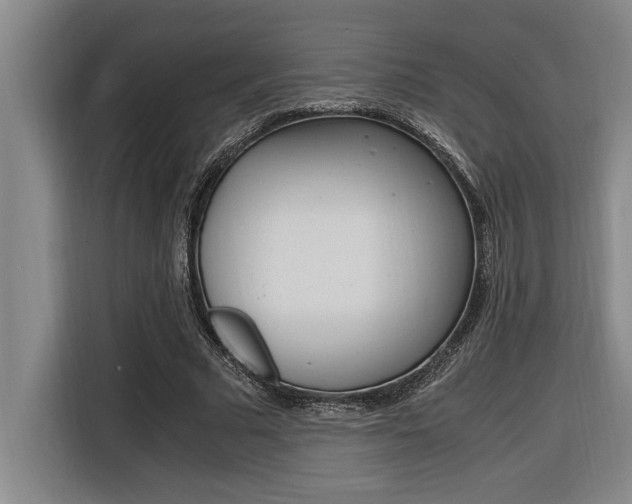 X0000116580681200912101310