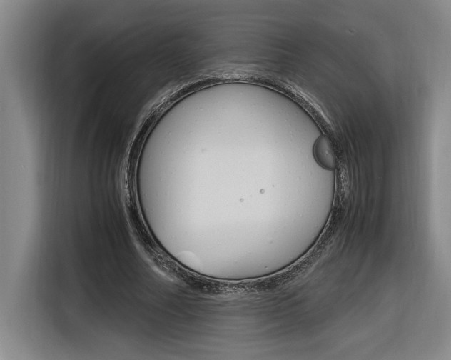 X0000116580682200912101310