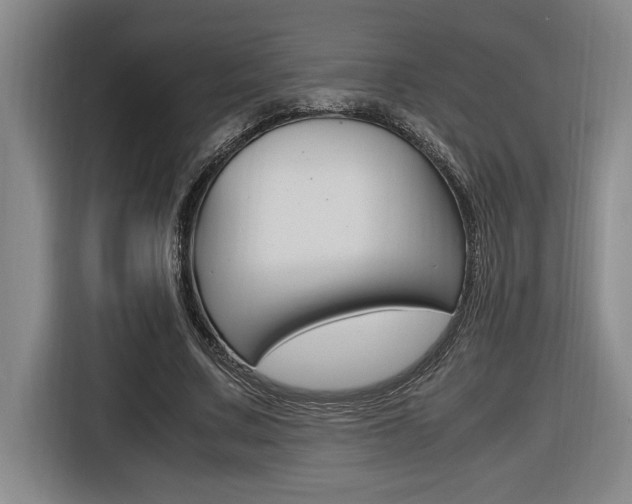 X0000116580683200912101310
