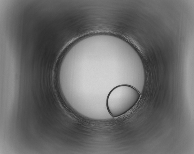 X0000116580684200912101310