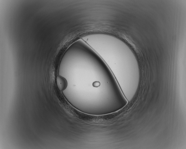 X0000116580685200912101310