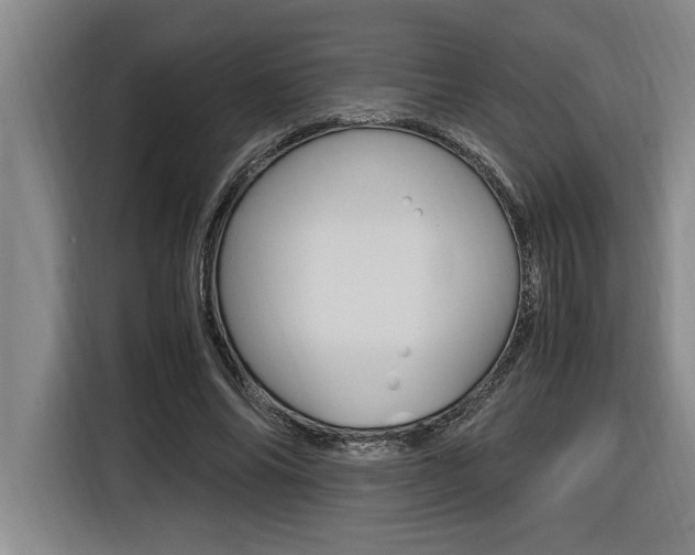 X0000116580686200912101310