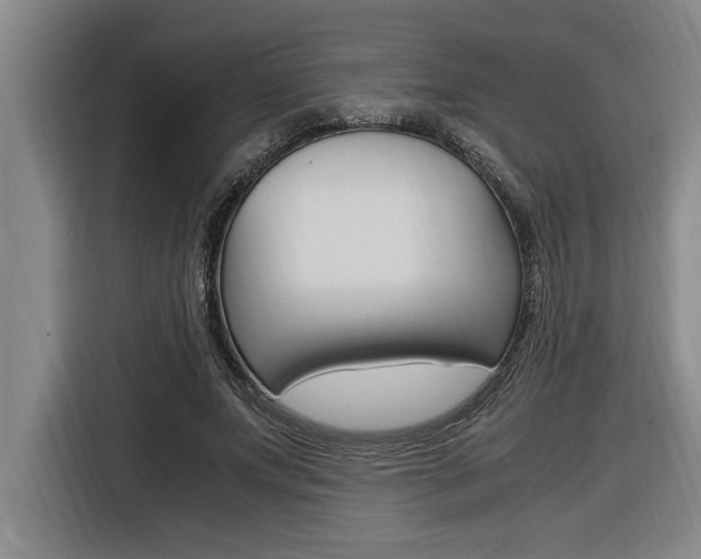 X0000116580687200912101310